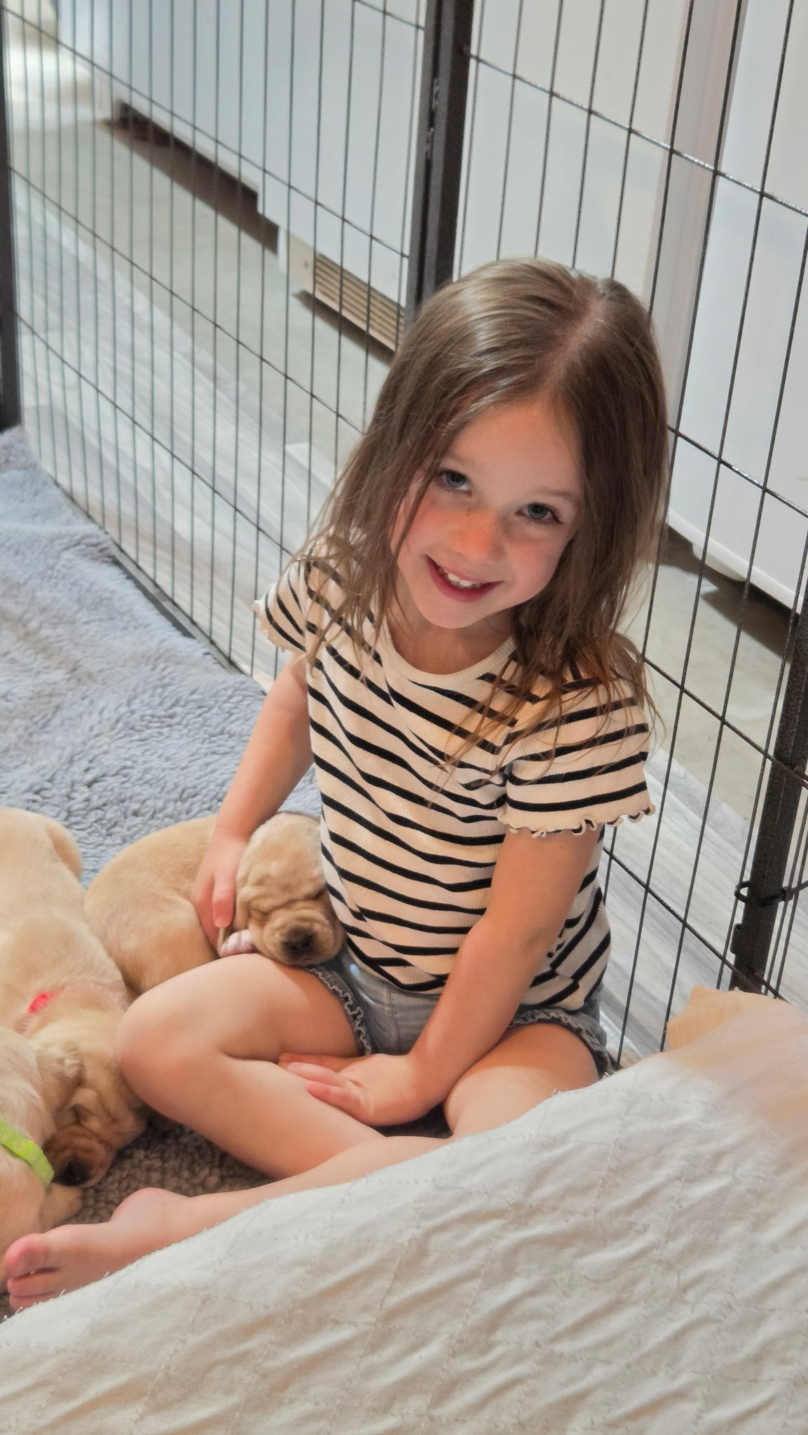 Puppies